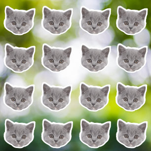 Autocollants en vinyle étanche photo personnalisés