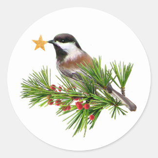 Autocollants étoile mésange