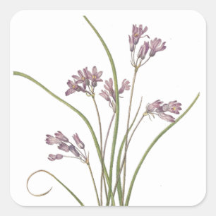 autocollants fleurs sauvages