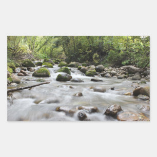 Autocollants Forest Stream