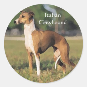 Autocollants Greyhound italiens