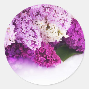 Autocollants lilas