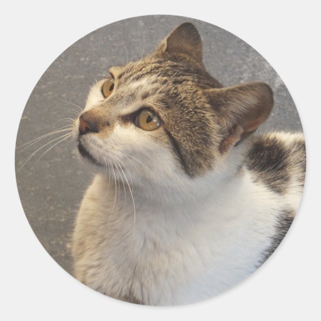 Autocollants personnalisés (Devant)