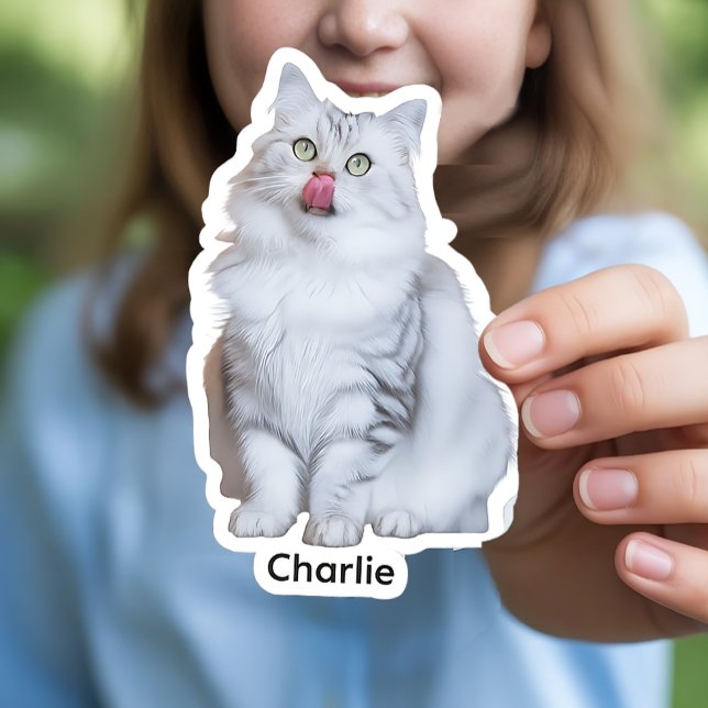 Autocollants photo personnalisés | Décalages de vi (Custom Photo Vinyl Stickers)