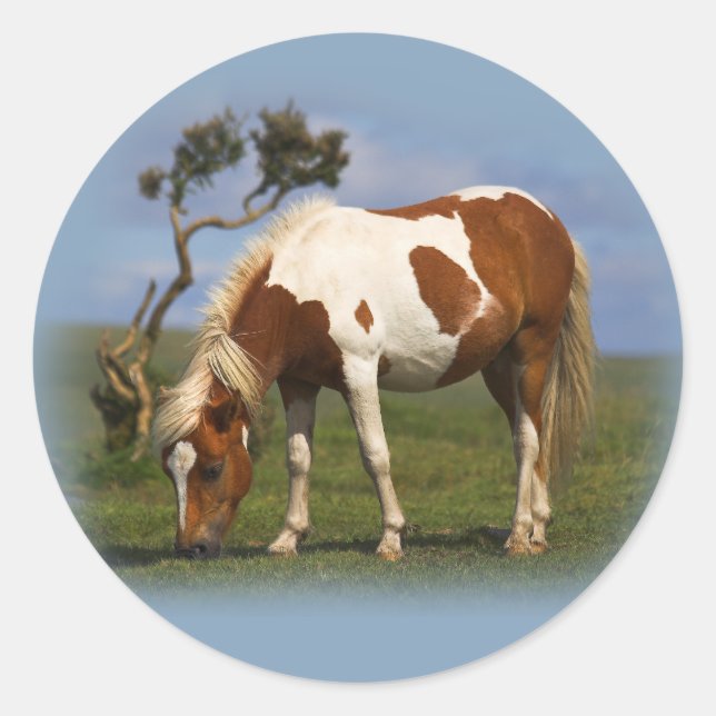 Autocollants Pony Et Lone Gorse (Devant)