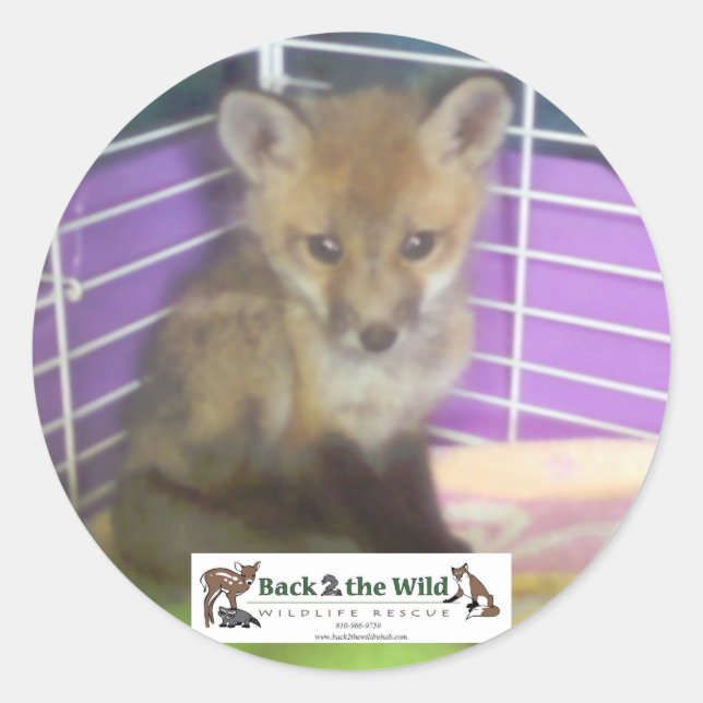 autocollants pour bébés renards (Devant)