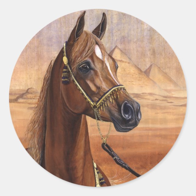 Autocollants pour chevaux égyptiens Princess Arabi (Devant)