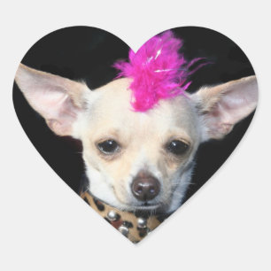 Autocollants punks de chiwawa