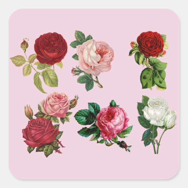 autocollants rose (Devant)