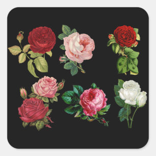 autocollants rose