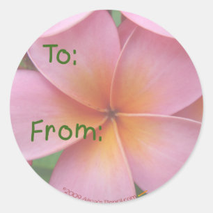 Autocollants roses d'étiquette de cadeau de