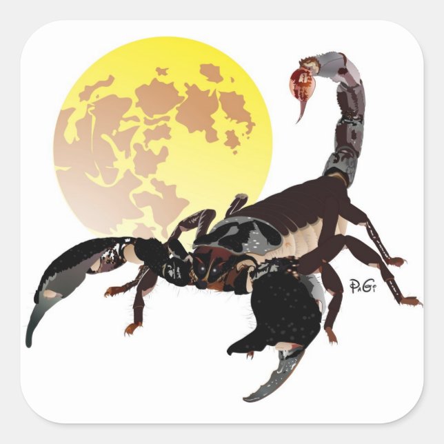 Autocollants scorpions (Devant)