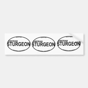 Autocollants sibériens d'euro d'esturgeon