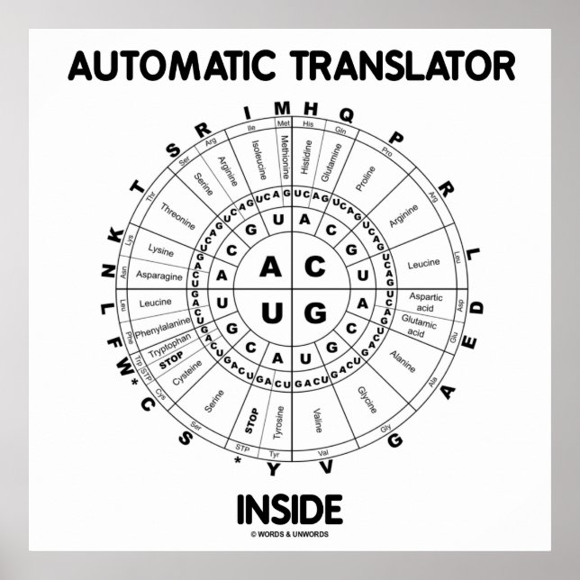 Automatic Translator Inside (RNA Codon Wheel) Poster (Front)