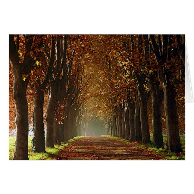 automne (Devant horizontal)