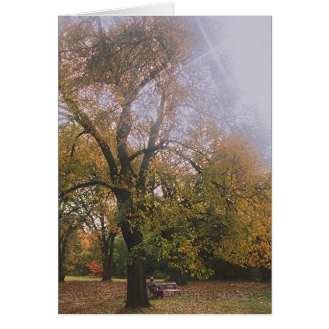 Automne à Melbourne (Devant)