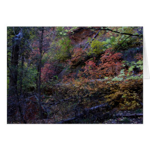 Automne à Sedona