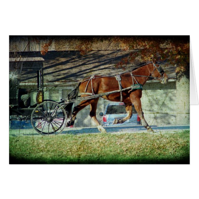 Automne Amish Buggy Horse (Devant horizontal)