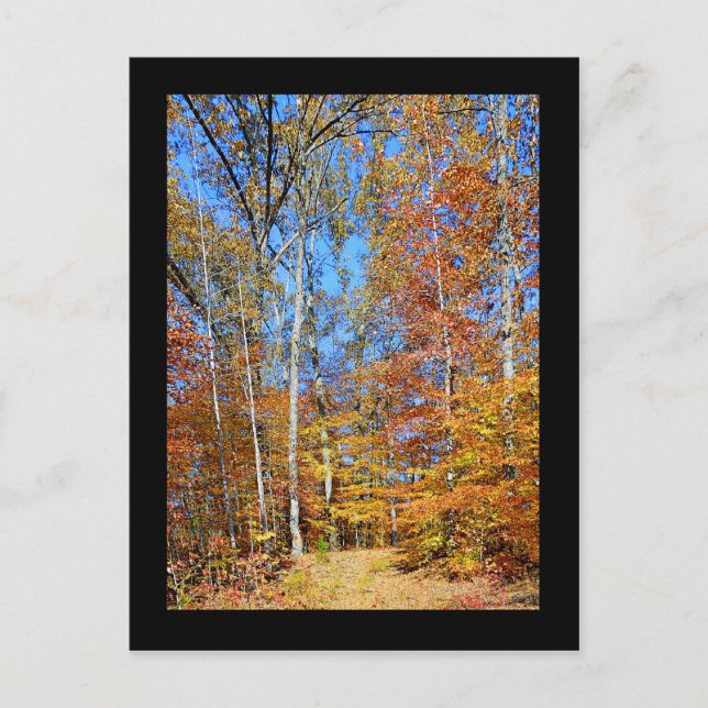 Automne appalachien de traînée, carte postale de (Devant)
