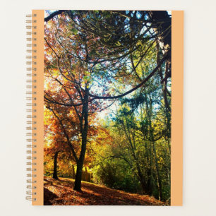 Automne après-midi