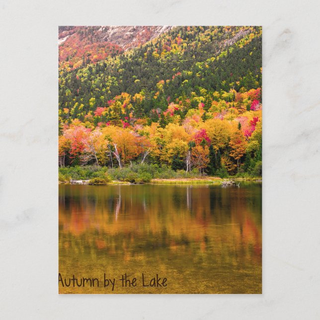 Automne au bord du lac Carte postale (Devant)