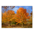 Automne au lac argenté #6