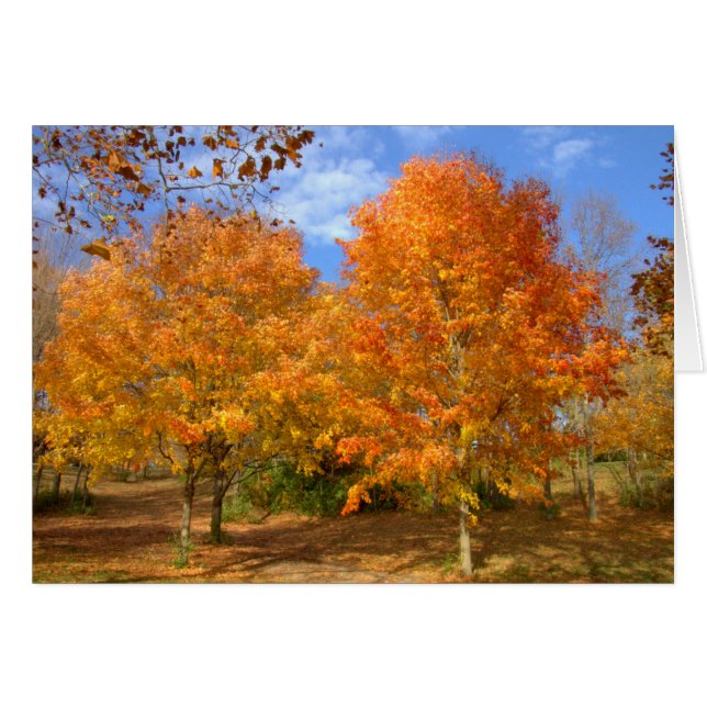 Automne au lac argenté #6 (Devant horizontal)