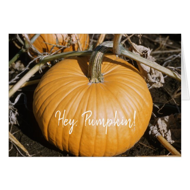 Automne Big Orange HALLOWEEN Citrouille Automne Sq (Devant horizontal)