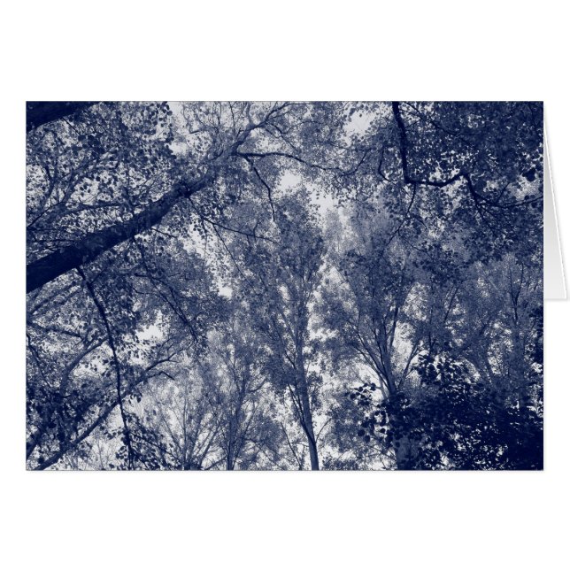 Automne bleu (Devant horizontal)