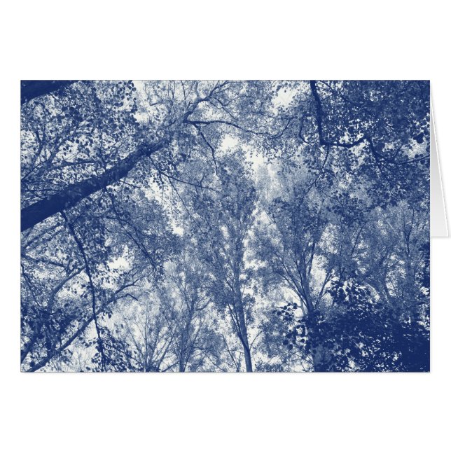 Automne Bleu - Effet Cyanotype (Devant horizontal)