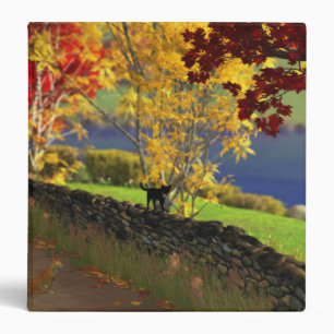 Automne dans le classeur Glen