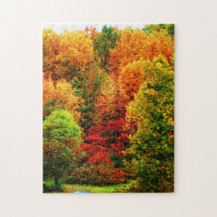 AUTOMNE DANS le puzzle de l'ÉTAT de NEW-YORK