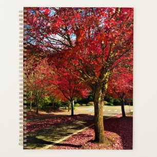 Automne dans le quartier, Oregon
