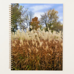 Automne dans le Wisconsin