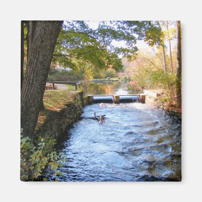 Automne en Nouvelle-Angleterre 47 ~ aimant (Devant)