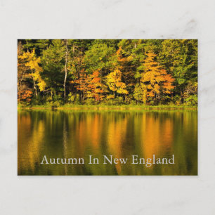 Automne en Nouvelle-Angleterre Carte postale