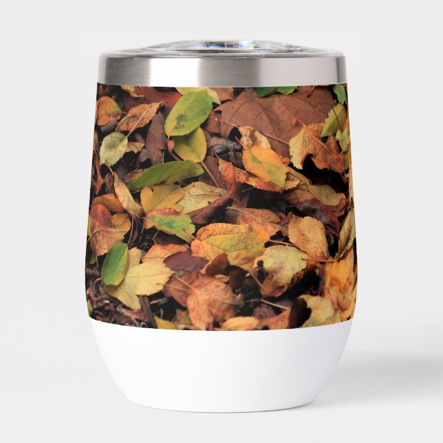 automne, feuille sec (Avant)