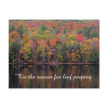 Automne Feuilles Automne Couleur Scène Carte posta