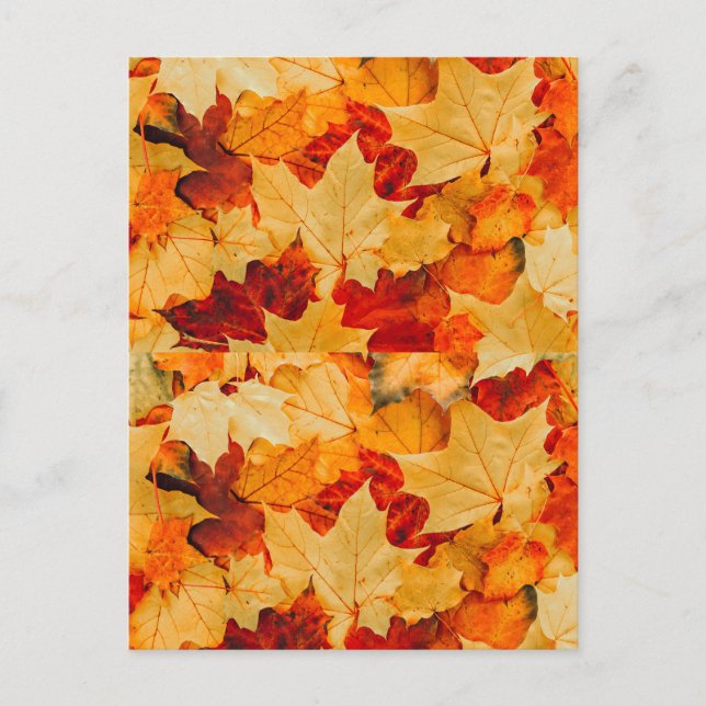 Automne Feuilles de voeux Carte de voeux (Devant)