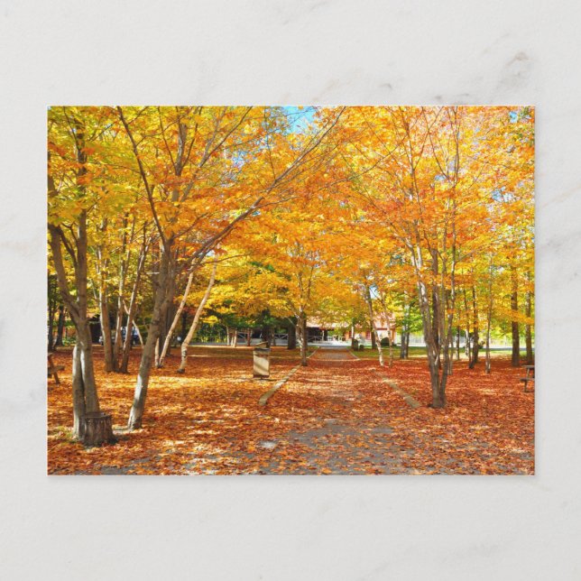 Automne Folion Canyon Sainte Anne Carte postale Qu (Devant)