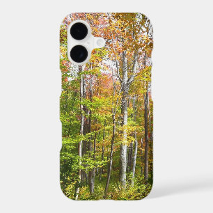 Automne Forêt I Automne Paysage Photographie