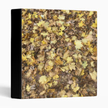 Automne Jaune Feuille Collection 1" Classeur