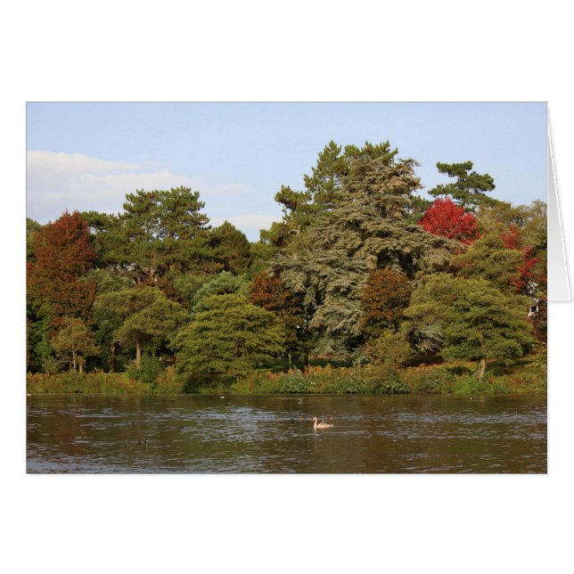 Automne, Lac Roath Park, Cardiff (Devant horizontal)