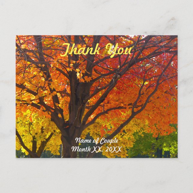 Automne laisse Mariage Merci carte postale (Devant)