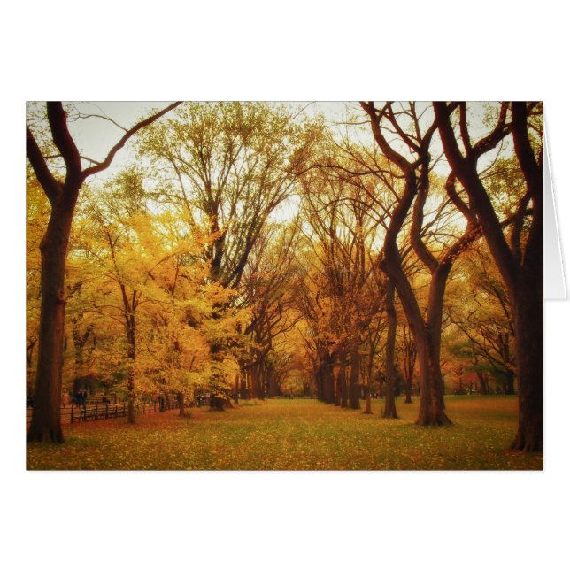 Automne - New York (Devant horizontal)