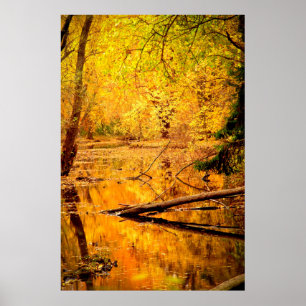 Automne Paysage Forêt Photo Nature Poster