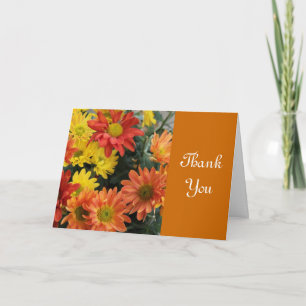Automne rouge, jaune, orange marguerite merci