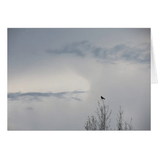 Automne Sky 2014