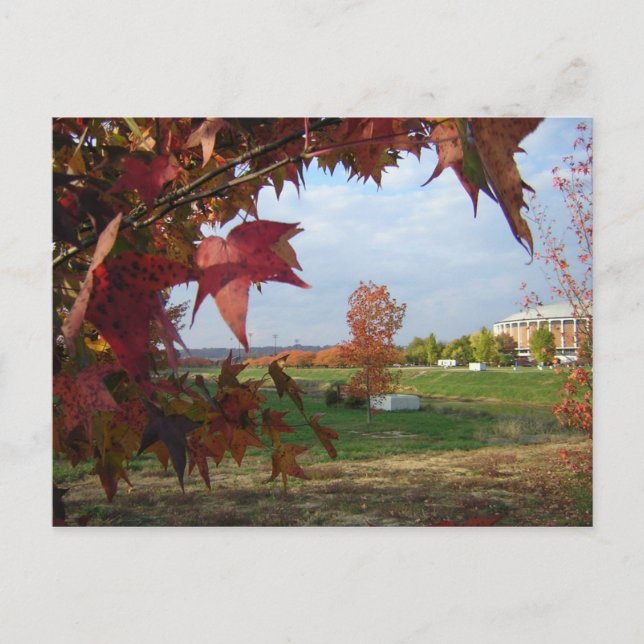 Automne sur la carte postale Convo (Devant)