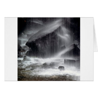 Automnes de crique de garde forestière de scène